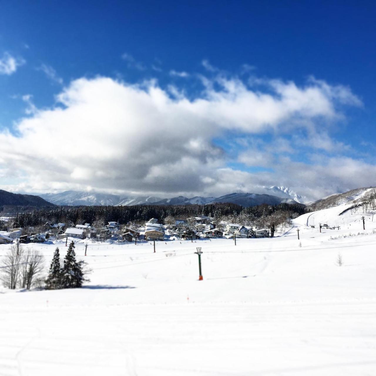 Hakuba Cortina Backpackers Vandrehjem Otari Eksteriør billede