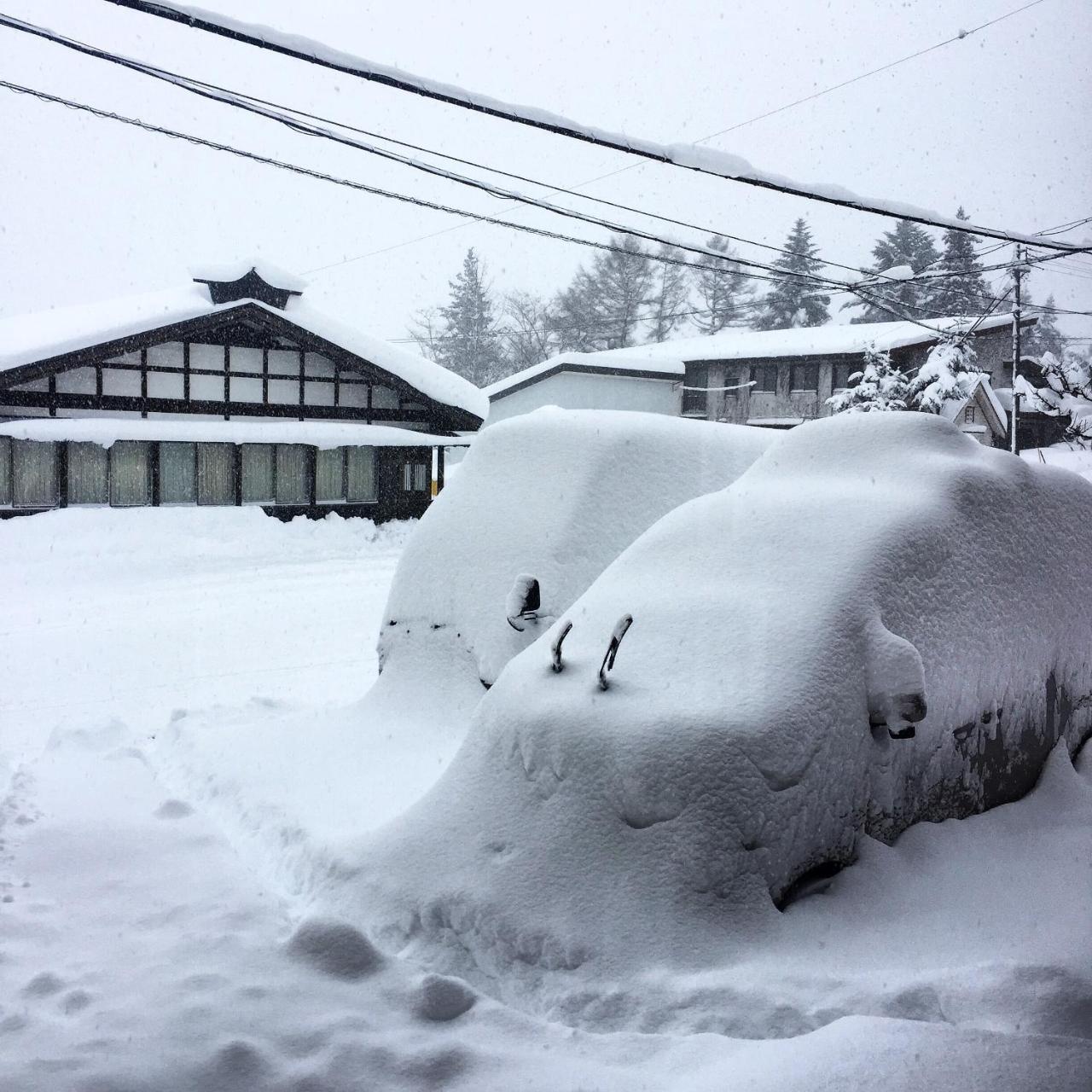 Hakuba Cortina Backpackers Vandrehjem Otari Eksteriør billede