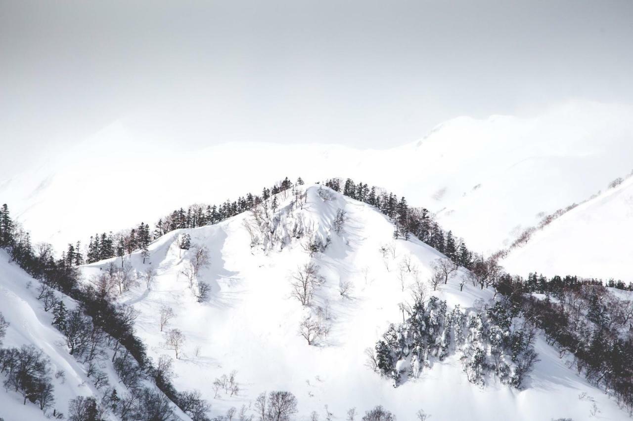 Hakuba Cortina Backpackers Vandrehjem Otari Eksteriør billede